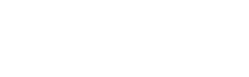 Salud logo white